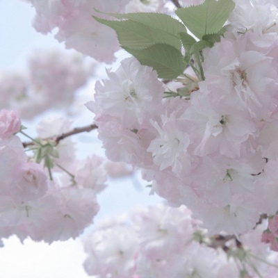 玉田FurryQQ群介绍